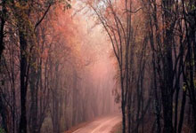 热刺客场比分险胜切尔西，实现逆袭