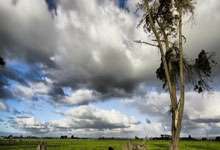 智利客场胜委内瑞拉，取得欧国联小组第一